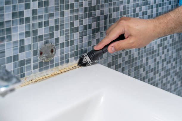 Best Health and Safety Mold Remediation in Grape Creek, TX